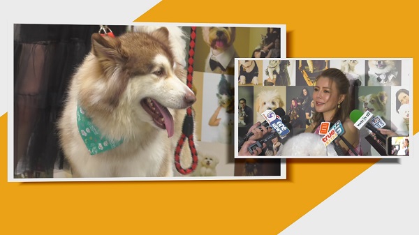 “เก๋ ชลลดา” อยากผลักดันเรื่องฟาร์มสัตว์ รับโดนคนเสียประโยชน์โจมตี   (มีคลิป)