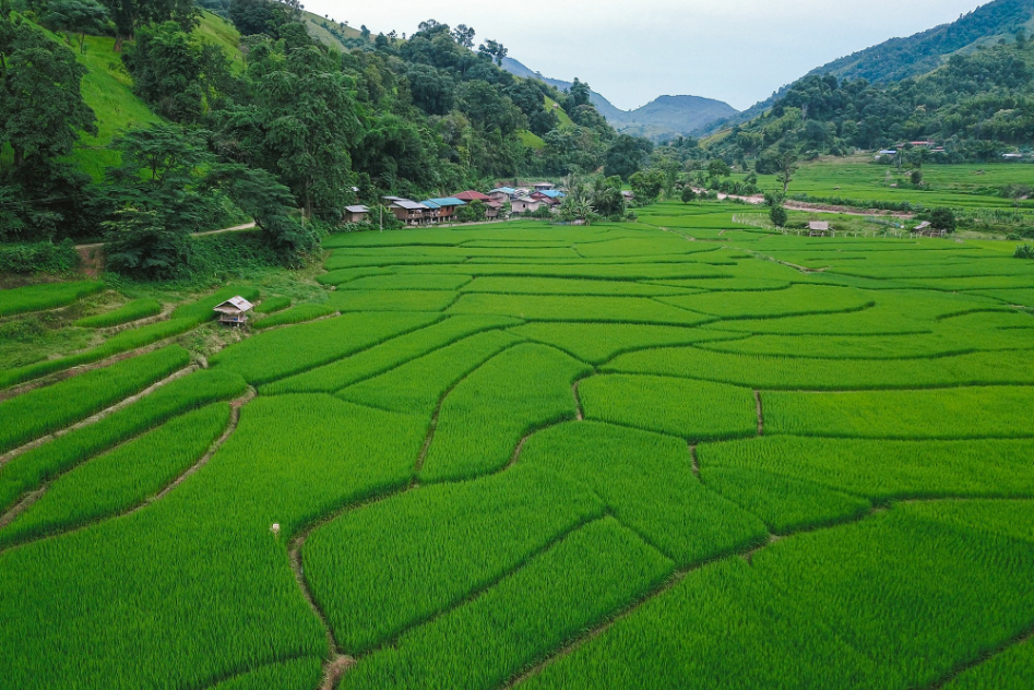 9 รูทเที่ยวน่าน เช็คอินปีใหม่ 2023 นอนดูดาว รับลมหนาวสุดฟิน! 9 รูทเที่ยวน่าน เช็คอินปีใหม่ 2023 นอนดูดาว รับลมหนาวสุดฟิน!