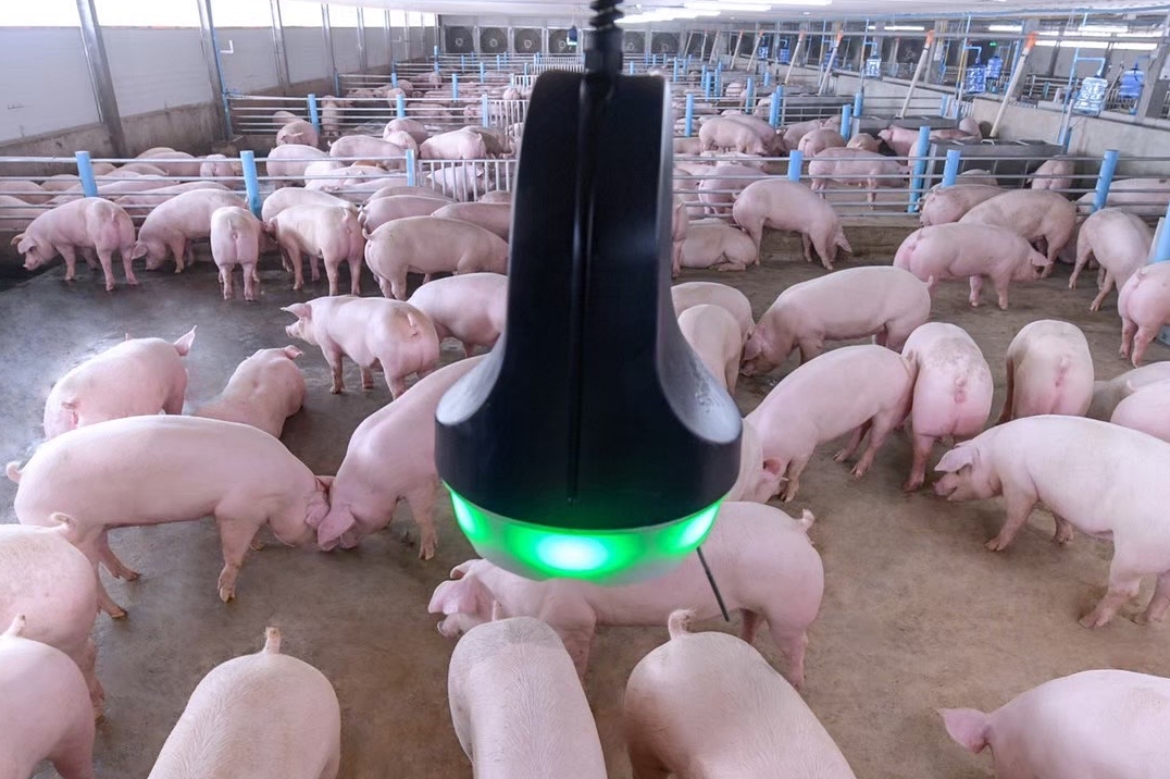 CPF ยึดหลักสุขภาพหนึ่งเดียว (One Health) มุ่งเน้นสวัสดิภาพสัตว์ สร้างอาหารปลอดภัยตั้งแต่ฟาร์มสู่จาน CPF ยึดหลักสุขภาพหนึ่งเดียว (One Health) มุ่งเน้นสวัสดิภาพสัตว์ สร้างอาหารปลอดภัยตั้งแต่ฟาร์มสู่จาน