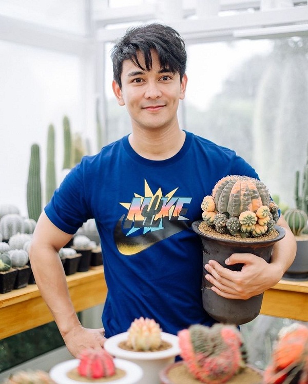 “กัน นภัทร” ขยายพันธุ์ แคคตัส สร้างรายได้ มีแพลนเปิดเป็นคาเฟ่ (มีคลิป) “กัน นภัทร” ขยายพันธุ์ แคคตัส สร้างรายได้ มีแพลนเปิดเป็นคาเฟ่ (มีคลิป)