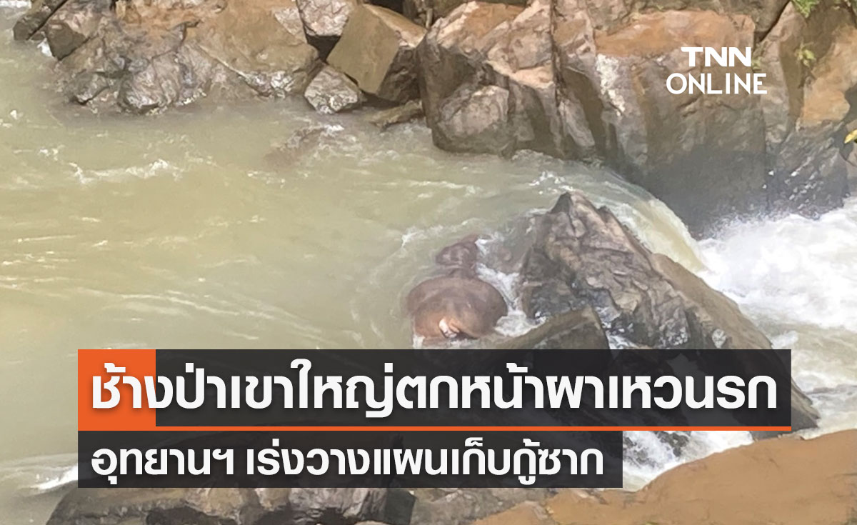 อุทยานแห่งชาติเขาใหญ่ สั่งปิดด่วน "นํ้าตกเหวนรก" เก็บกู้ซากลูกช้างพลัดตก