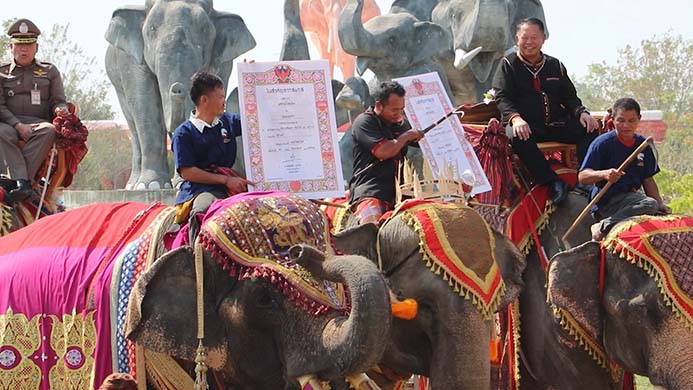วันวาเลนไทน์ 2567 สุรินทร์จัดงาน ‘จดทะเบียนสมรสบนหลังช้าง’ ยิ่งใหญ่อลังการ วันวาเลนไทน์ 2567 สุรินทร์จัดงาน ‘จดทะเบียนสมรสบนหลังช้าง’ ยิ่งใหญ่อลังการ