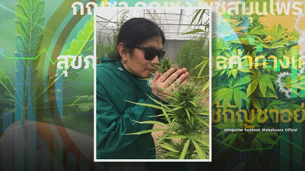 9 มิ.ย. ปลดล็อกกัญชาวันแรก “สรยุทธ-ไบรท์-แทค-โจอี้บอย-มาลีฮวนน่า” ตื่นตัว   (มีคลิป)