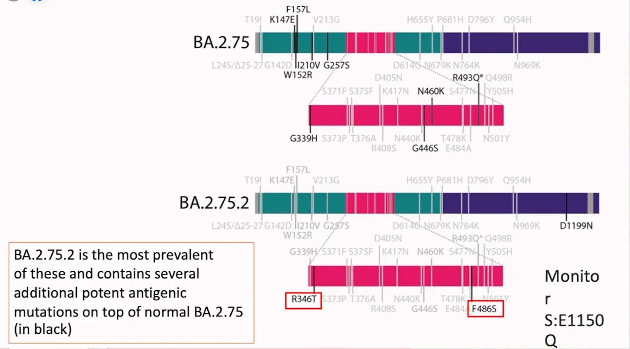 กรมวิทย์ฯ ยืนยัน ไทยพบโควิดโอมิครอน สายพันธุ์ย่อย BA.2.75.2 ขออย่าตระหนก