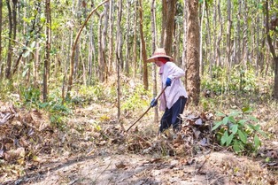 รองผู้ว่าฯ เชียงใหม่ ลงพื้นที่ตรวจเยี่ยมให้กำลังใจชุมชนในโครงการ “ป่าปลอดเผา” อ.เวียงแหง จ.เชียงใหม่ สนับสนุนโดยเครือซีพี