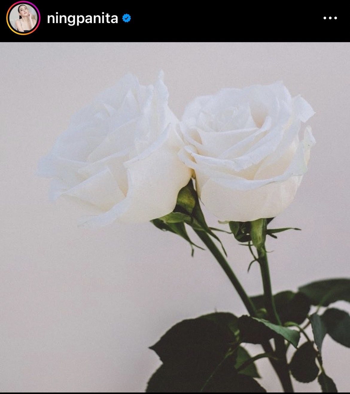 หนิง ปณิตา และ สามี ยังไม่พร้อมตอบคำถาม หลังโดนโยงคำใบ้ นางร้ายหน้าเหวี่ยง 