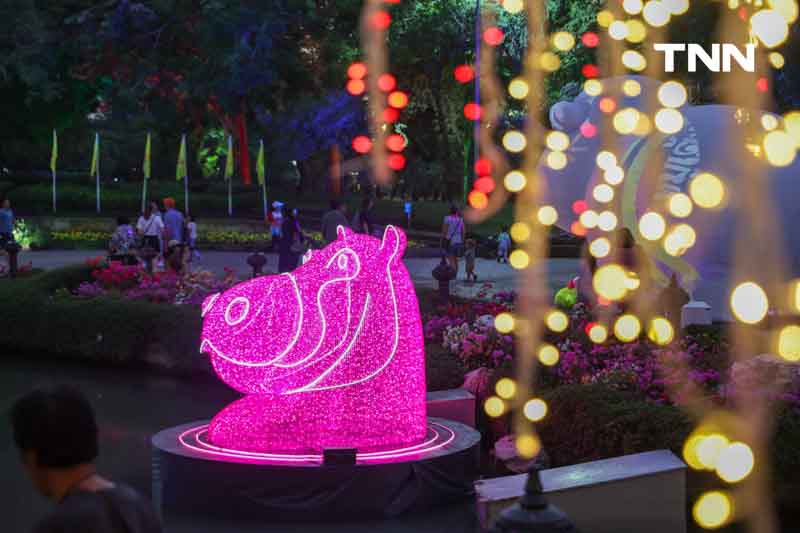 หมูเด้งบุกกรุง แสง สีสุดอลังการ ส่งท้ายปี หมูเด้งบุกกรุง แสง สีสุดอลังการ ส่งท้ายปี