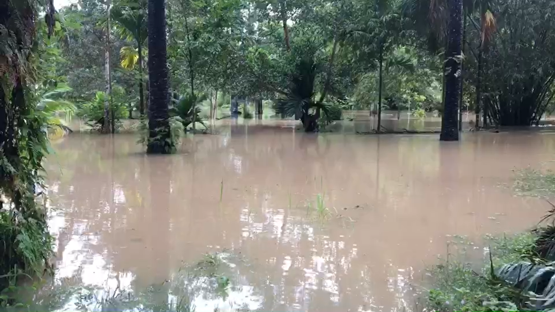 น้ำท่วมกระบี่ เตือนประชาชนขนของขึ้นที่สูง ฝนตกหนัก-น้ำหลาก น้ำท่วมกระบี่ เตือนประชาชนขนของขึ้นที่สูง ฝนตกหนัก-น้ำหลาก