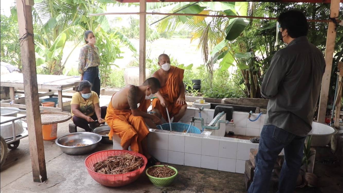 น้ำใจยุคโควิด! เจ้าอาสวัดนนทบุรี ทำน้ำกระชายขาวแจกฟรี น้ำใจยุคโควิด! เจ้าอาสวัดนนทบุรี ทำน้ำกระชายขาวแจกฟรี