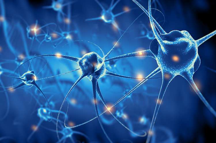 นักวิทยาศาสตร์พบความเชื่อมโยง โควิด-19 แม้หายป่วยแล้ว อาจทำให้เกิดโรคพาร์กินสันในอนาคต