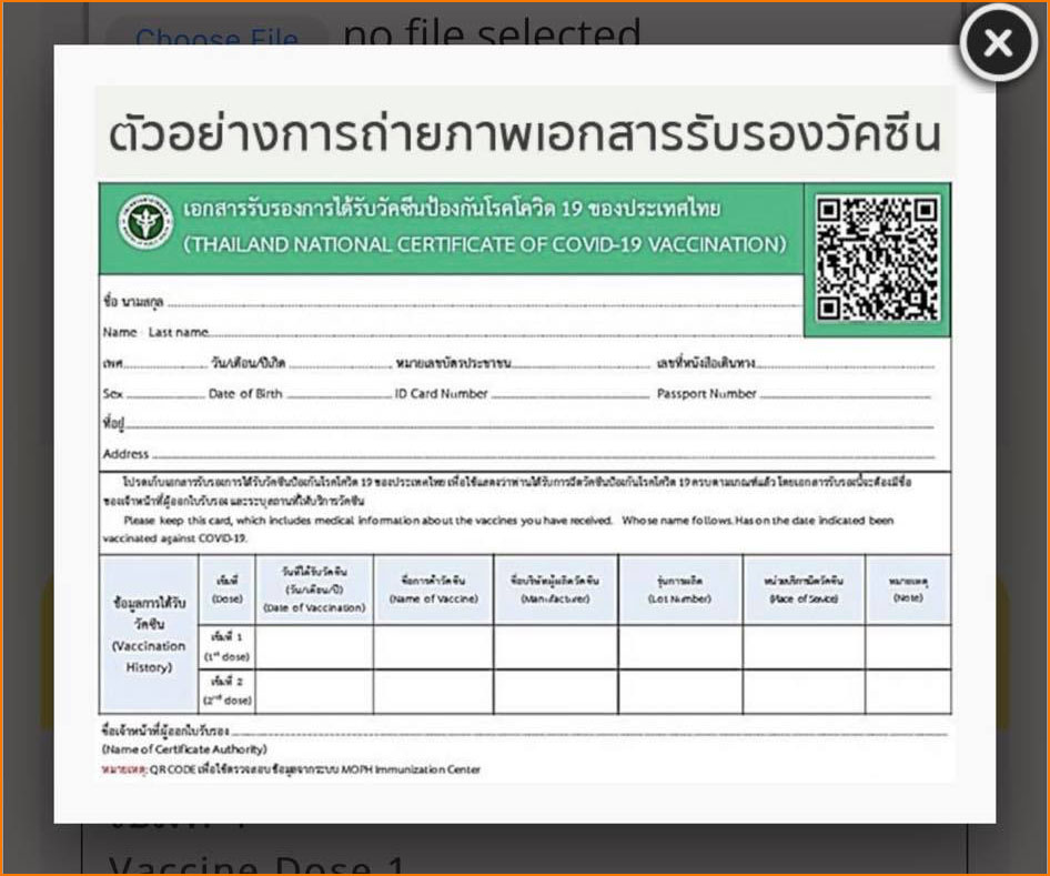 เริ่มวันนี้! หมอพร้อมเปิดให้จองคิวขอรับ ‘วัคซีนพาสปอร์ต’ เช็กวิธีการได้เลยที่นี่