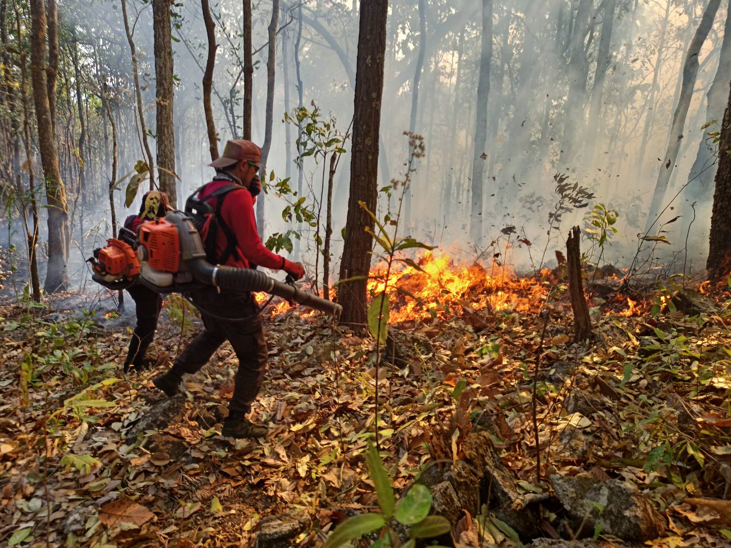 สั่งตรวจ ไฟป่า นำ โดรน DE นำเทคโนโลยี ช่วยตรวจไฟป่า สั่งตรวจ ไฟป่า นำ โดรน DE นำเทคโนโลยี ช่วยตรวจไฟป่า