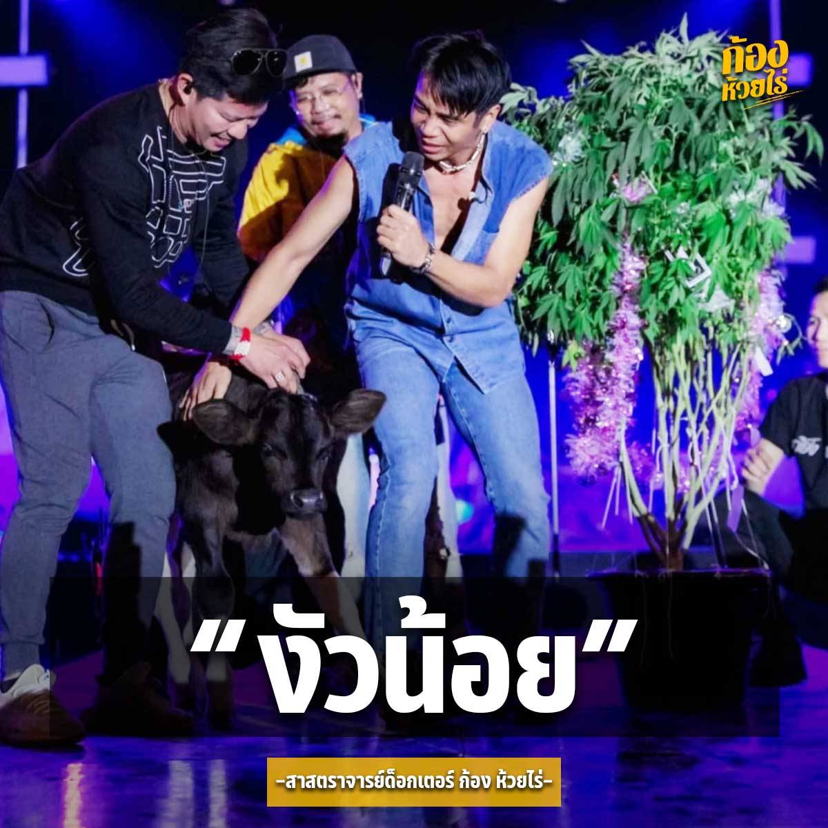 ของฝากเป็นเหตุ ชาวเน็ตจีนแชร์คลิป ก้อง ห้วยไร่ รับของฝากจากแฟนคลับขณะแสดงคอนเสิร์ต