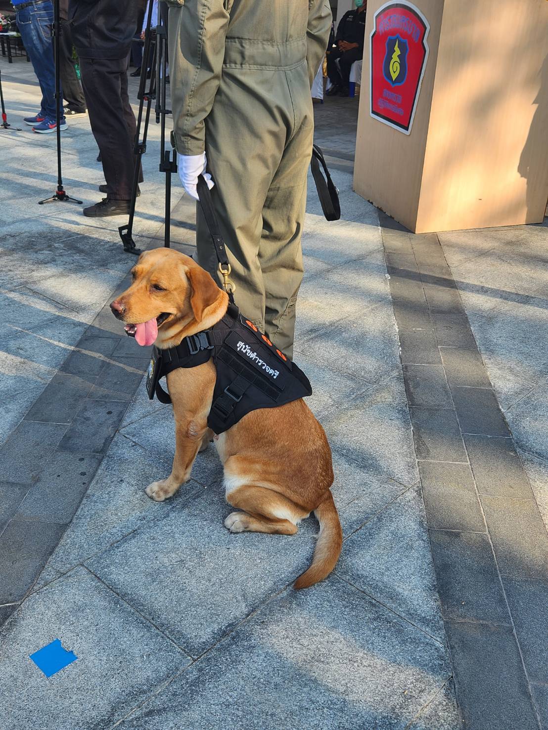 น้องทำดี! ติดยศตำรวจตรี “สุนัข K-9” คลี่คดีดัง“น้องชมพู-ไอซ์หีบเหล็ก”