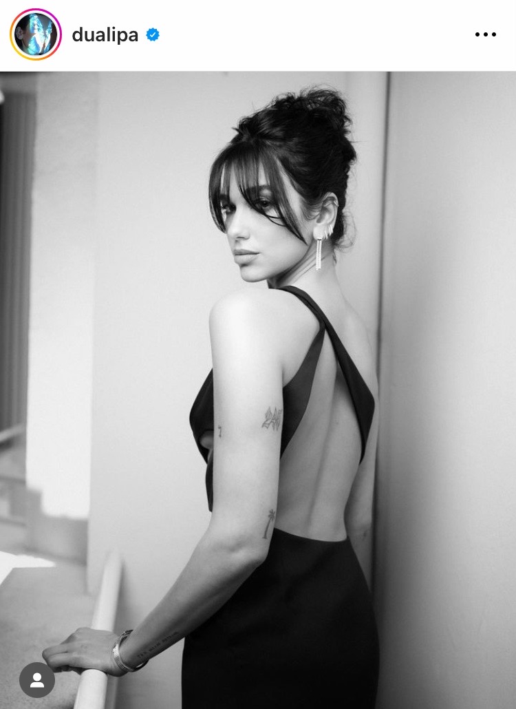 หนุ่มๆ ทำใจ!! ‘ดูอา ลิปา’ เปิตดัวหวานใจผู้กำกับฮอตชาวฝรั่งเศสบนพรมแดงคานส์