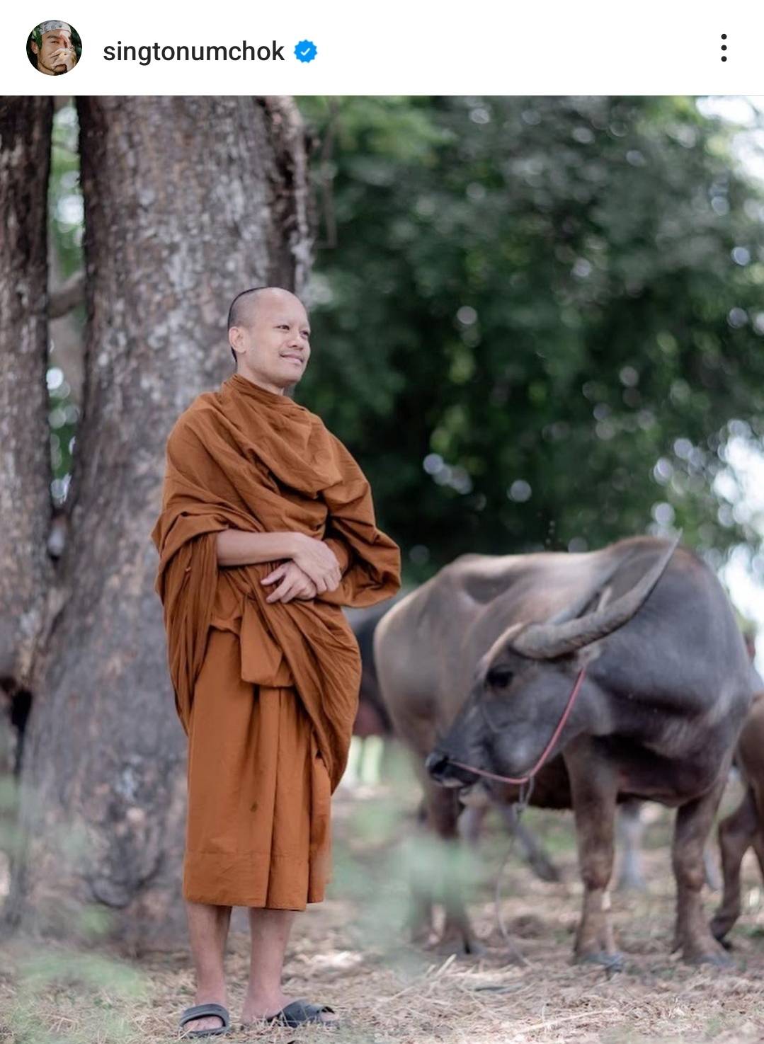 สิงโต นำโชค” เผยความรู้สึกหลังบวช รู้สึกเหมือนได้ชำระล้างจิตใจ