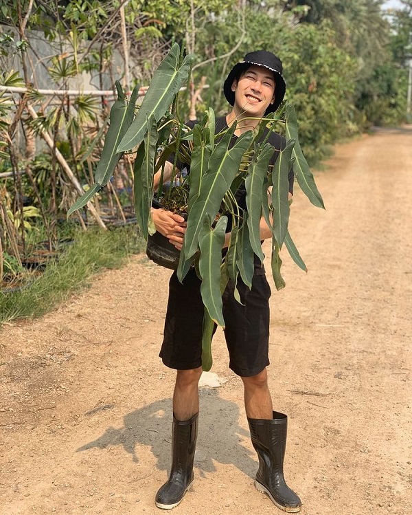 เคน ภูภูมิ เปิดประมูลกล้วยด่าง  ไม่กี่ชั่วโมงได้ราคาเกินแสน (มีคลิป) 
