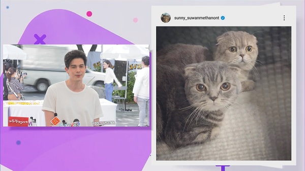 ซันนี่ ยอมทิ้งน้องแมว มารับงานในวงการชั่วคราว    (มีคลิป)