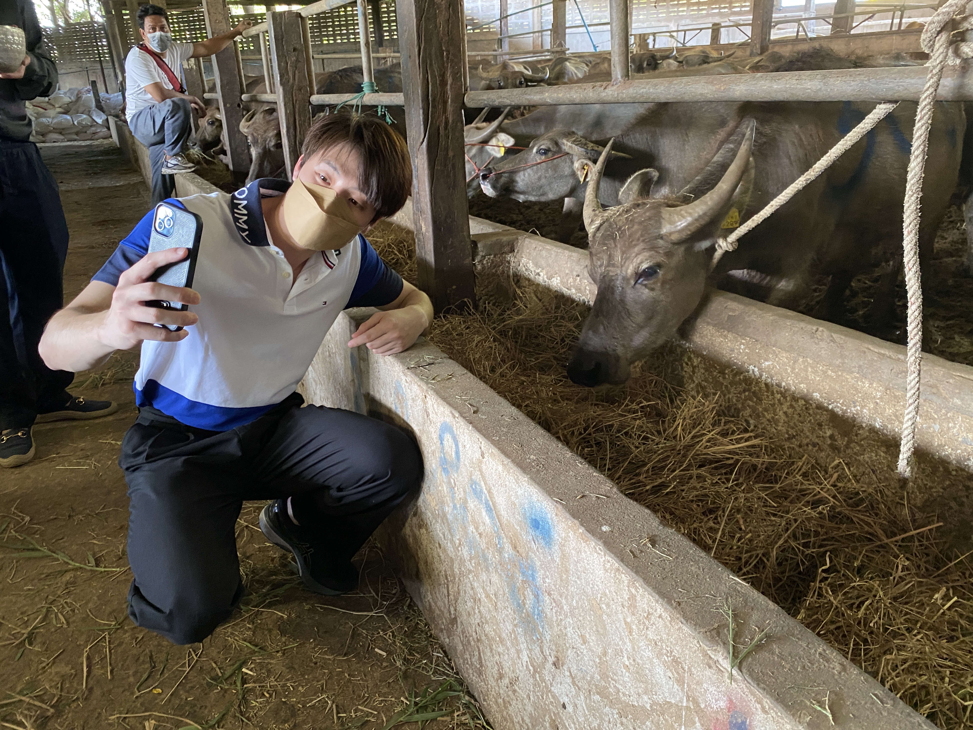 มีน พีรวิชญ์ และ ครอบครัว ทำบุญวันเกิดไถ่ชีวิตกระบือ มีน พีรวิชญ์ และ ครอบครัว ทำบุญวันเกิดไถ่ชีวิตกระบือ