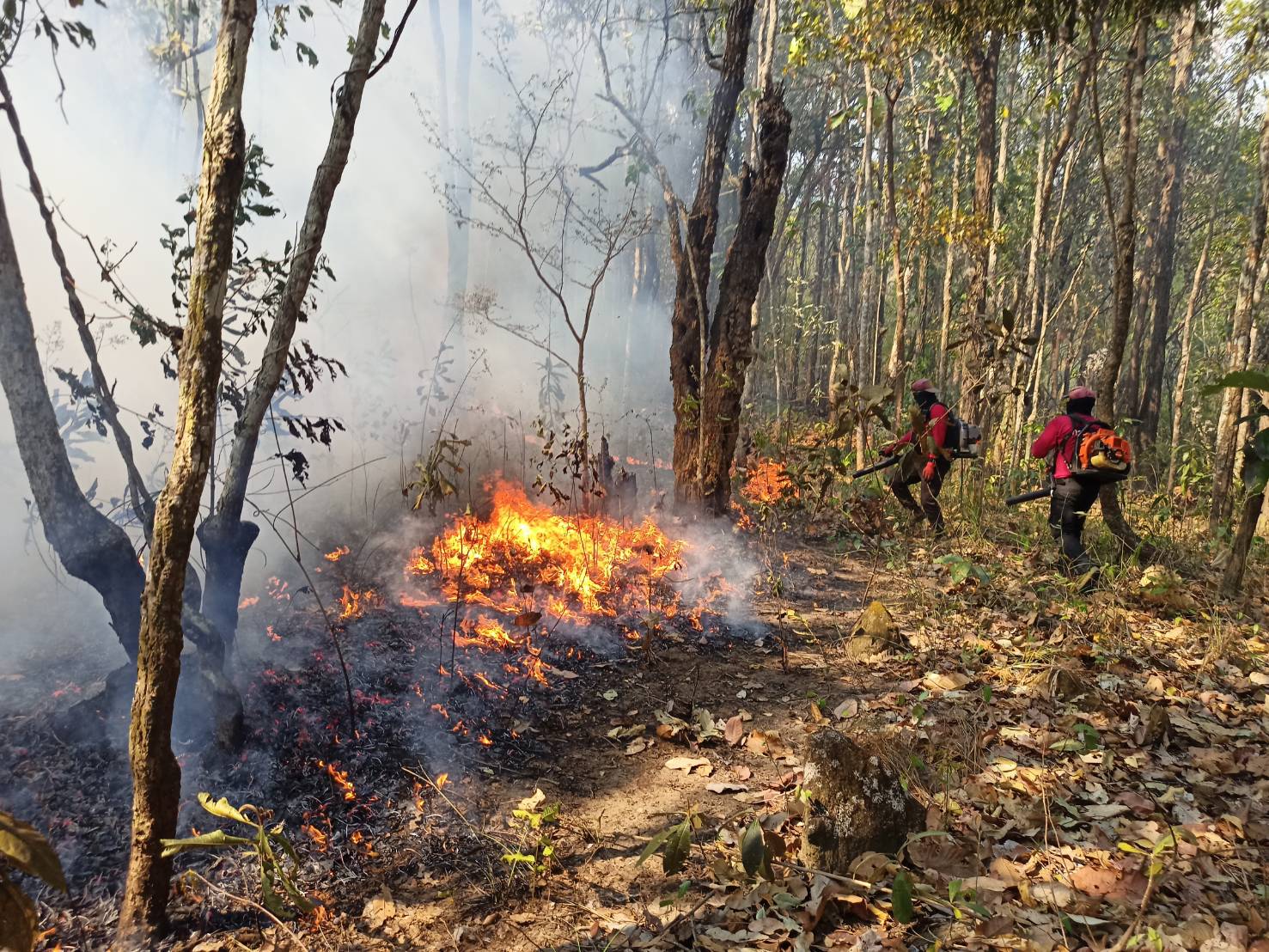 สั่งตรวจ ไฟป่า นำ โดรน DE นำเทคโนโลยี ช่วยตรวจไฟป่า สั่งตรวจ ไฟป่า นำ โดรน DE นำเทคโนโลยี ช่วยตรวจไฟป่า