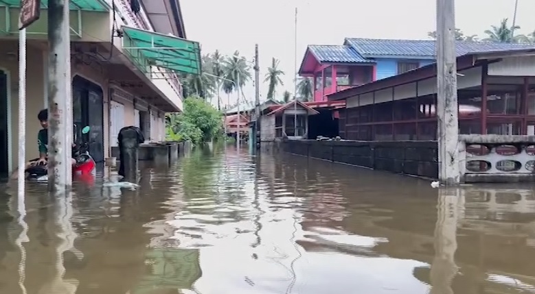 ปัตตานีน้ำท่วมหนัก ชาว อ.หนองจิกเดือดร้อนหนักรอบ 20 ปี ปัตตานีน้ำท่วมหนัก ชาว อ.หนองจิกเดือดร้อนหนักรอบ 20 ปี