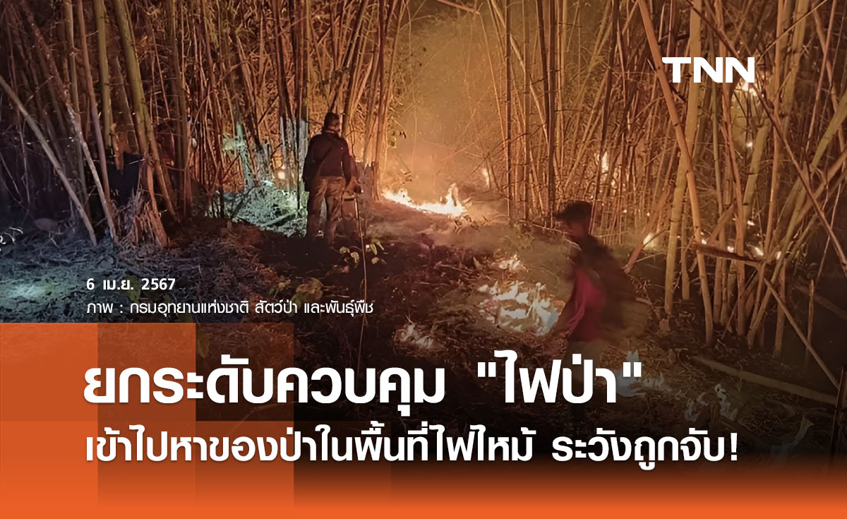 กรมอุทยานแห่งชาติฯ ยกระดับควบคุม "ไฟป่า" ไปหาของป่าระวังถูกจับ!