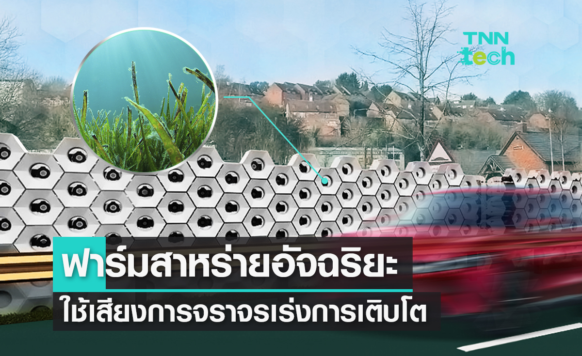 ฟาร์มสาหร่ายอัจฉริยะ ! เปลี่ยนเสียงการจราจร ช่วยสาหร่ายเร่งโตสร้างเชื้อเพลิงชีวภาพ