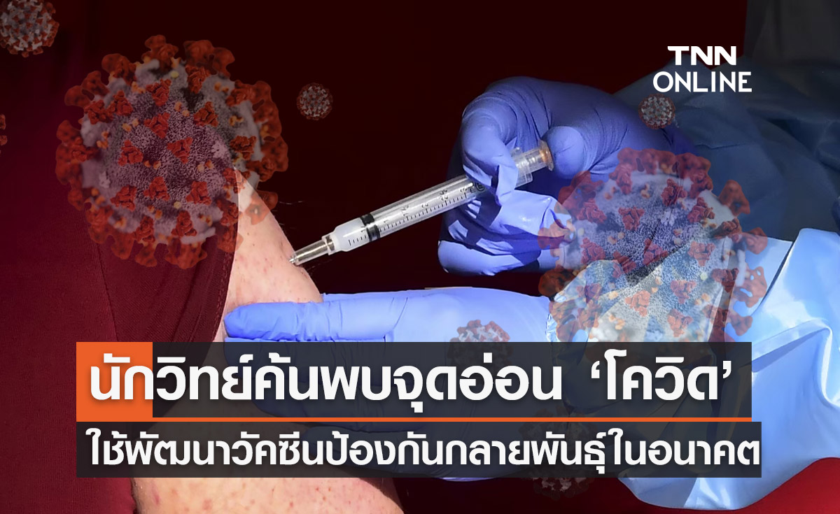 ข่าวดี! ค้นพบจุดอ่อน "โควิด" ความหวังพัฒนาวัคซีนป้องกันไวรัสกลายพันธุ์ในอนาคต