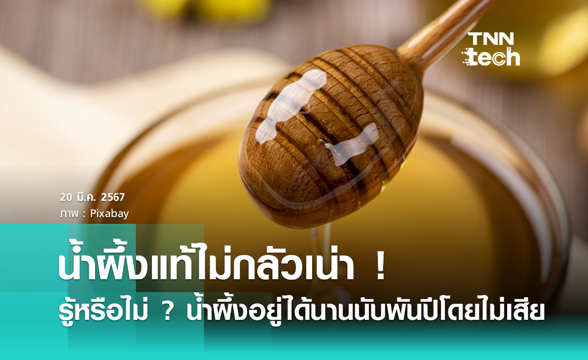น้ำผึ้งแท้ไม่กลัวเน่า ! รู้หรือไม่ ? น้ำผึ้งอยู่ได้นานนับพัน ๆ ปี