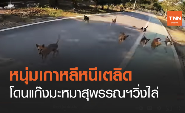 หนุ่มเกาหลีวิ่งออกกำลังกายที่สุพรรณฯ แต่พบประสบการณ์ที่ไม่เคยเจอที่ไหนมาก่อน