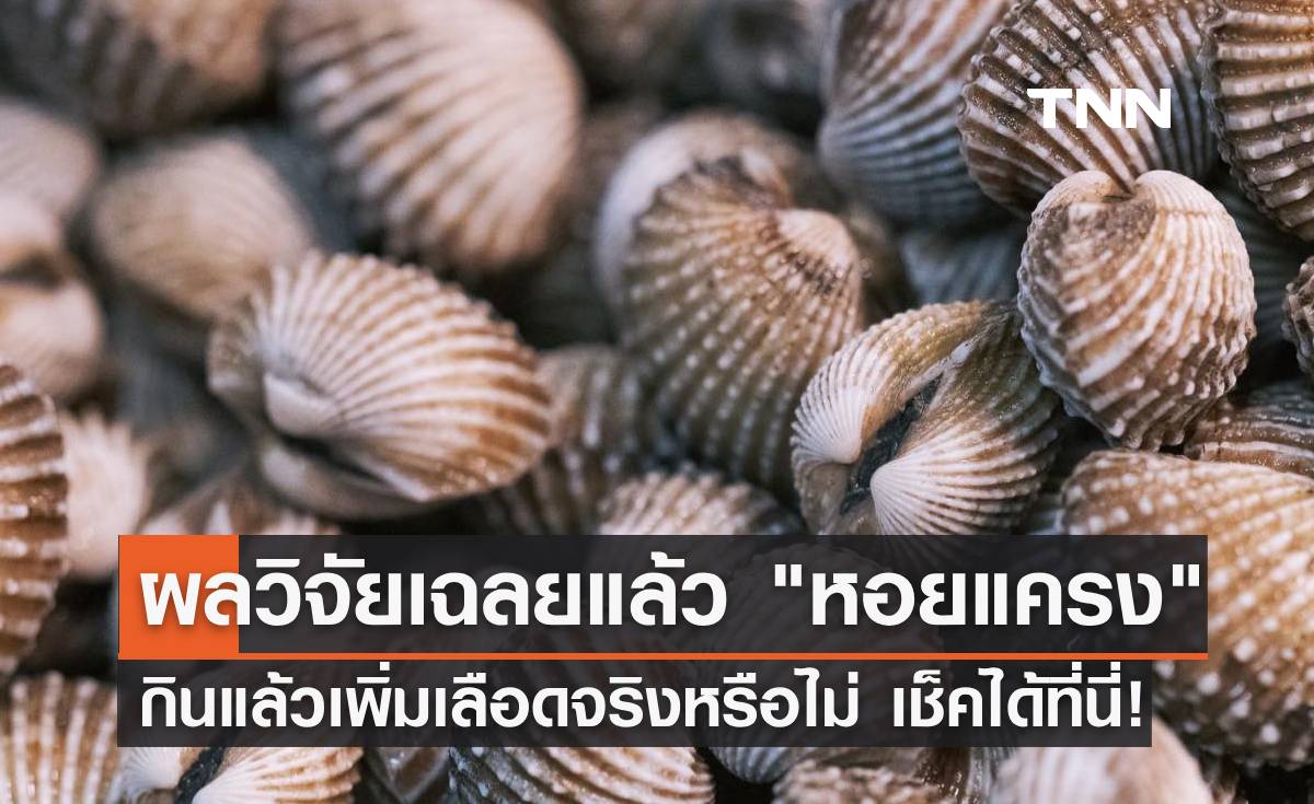 เฉลยแล้ว "หอยแครง" กินแล้วเพิ่มเลือดจริงหรือไม่? หาคำตอบได้ที่นี่!