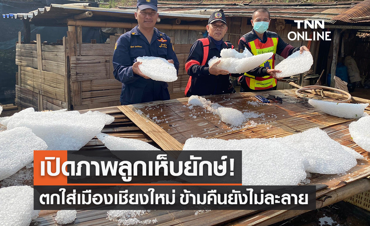 ‘พายุฤดูร้อน’ เปิดภาพ 'ลูกเห็บก้อนยักษ์' ตกใส่เชียงใหม่ ข้ามคืนยังไม่ละลาย