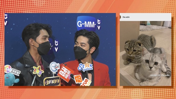 “เอิร์ท – มิกซ์” คลั่งรักแมว เปย์หนักสร้างห้อง250,000 บาท (มีคลิป) “เอิร์ท – มิกซ์” คลั่งรักแมว เปย์หนักสร้างห้อง250,000 บาท (มีคลิป)