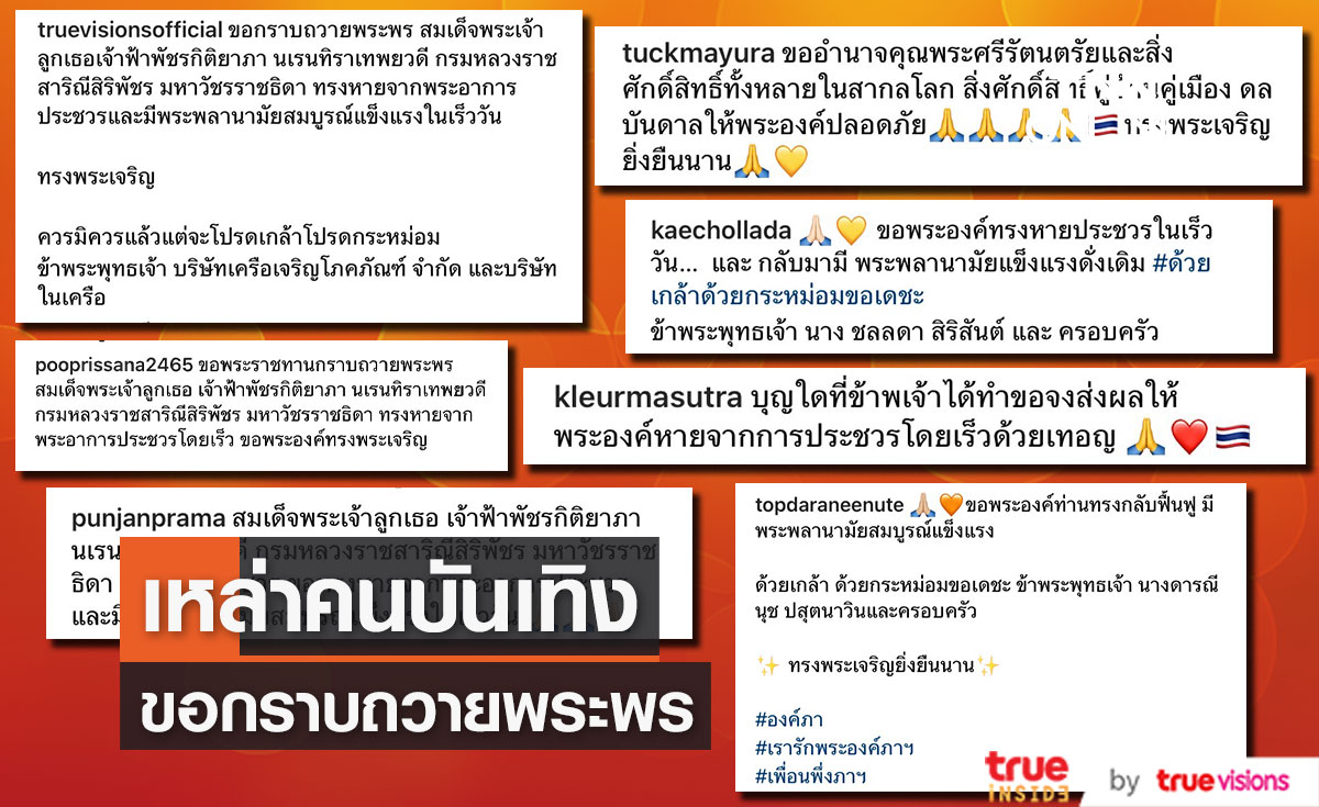 พสกนิกร และ ศิลปินดาราขอกราบถวายพระพร