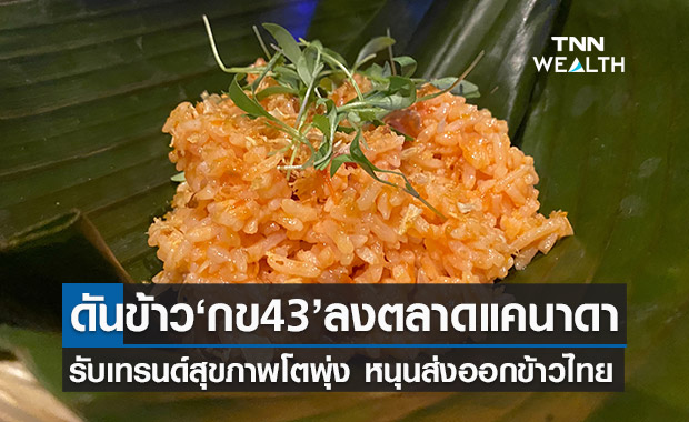  พาณิชย์ ดันข้าว กข43 ไทยแข่งขันในแคนาดา รับเทรนด์สุขภาพโตพุ่ง
