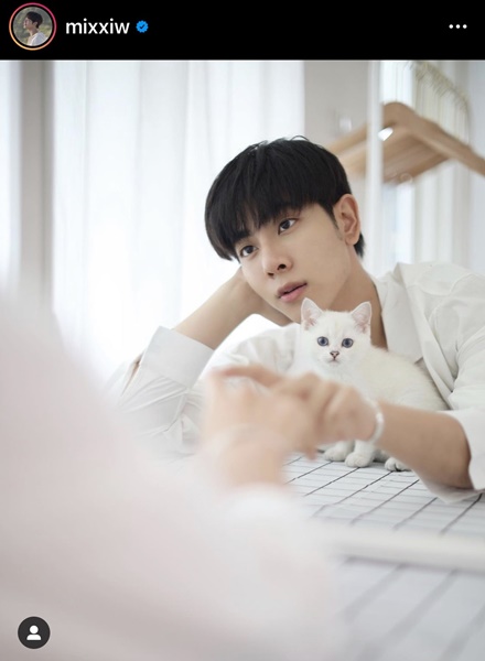 เอิร์ท-มิกซ์ คลั่งรัก ทุ่ม 250,000 สร้างบ้านให้น้องแมว เอิร์ท-มิกซ์ คลั่งรัก ทุ่ม 250,000 สร้างบ้านให้น้องแมว