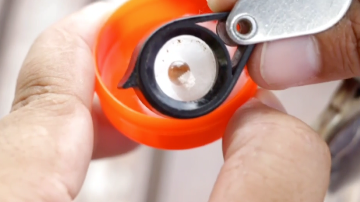 บุรีรัมย์ฮือฮา ‘ไข่มุกเมโล’ โผล่หอยหวาน วอนผู้เชี่ยวชาญตรวจสอบ บุรีรัมย์ฮือฮา ‘ไข่มุกเมโล’ โผล่หอยหวาน วอนผู้เชี่ยวชาญตรวจสอบ