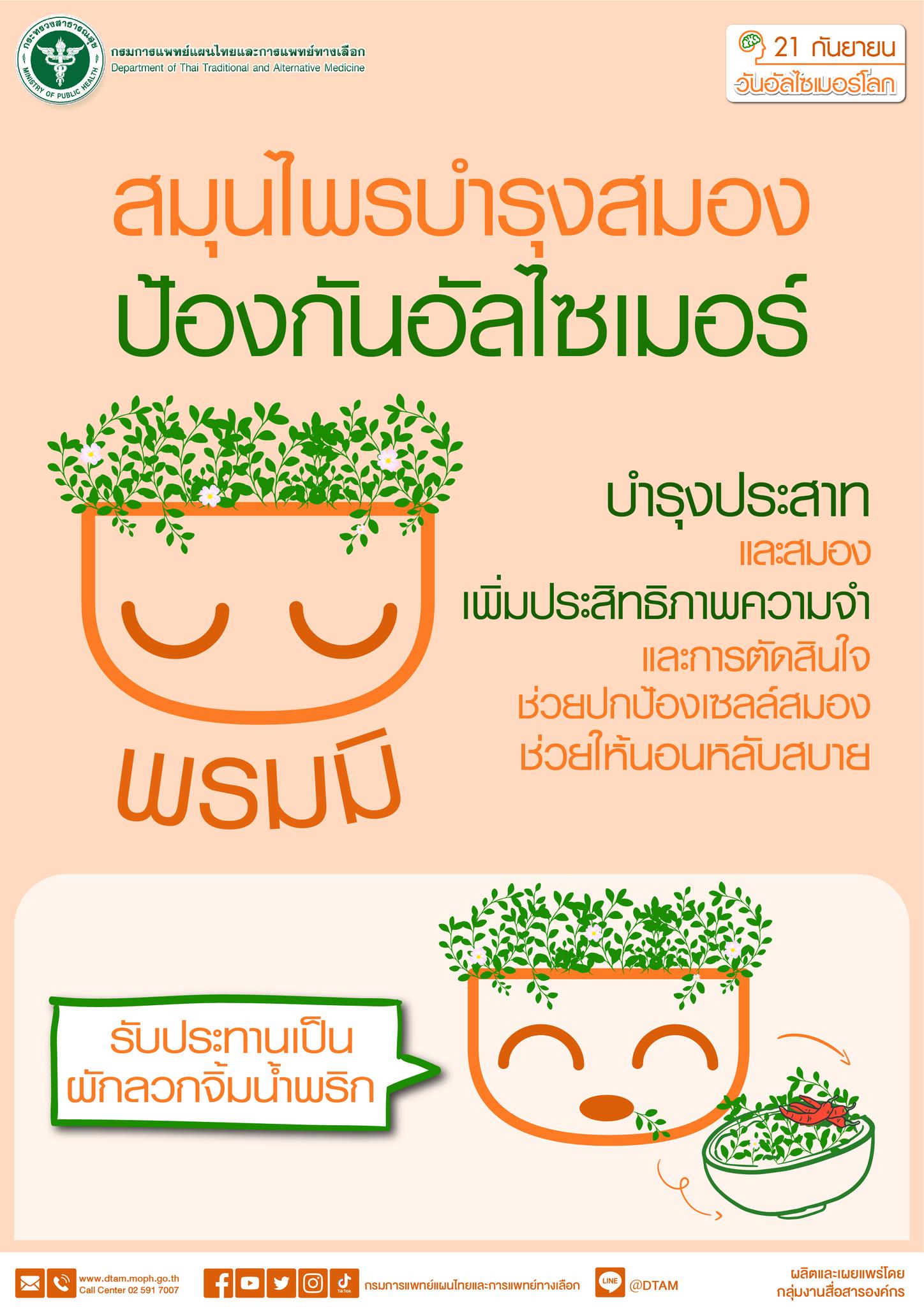 สมุนไพรบำรุงสมอง ใบบัวบกและพรมมิ ป้องกันความเสี่ยงโรคอัลไซเมอร์