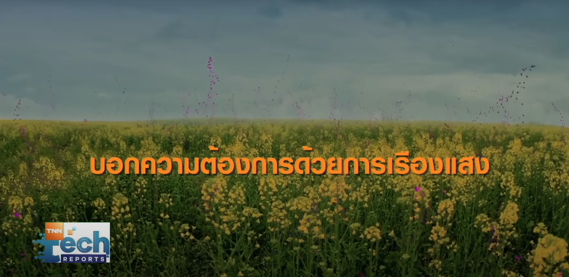 รวมเทคโนโลยีทำการเกษตรยุคใหม่ เพิ่มคุณผลผลิตสู่ระดับพรีเมียม | TNN Tech Reports รวมเทคโนโลยีทำการเกษตรยุคใหม่ เพิ่มคุณผลผลิตสู่ระดับพรีเมียม | TNN Tech Reports