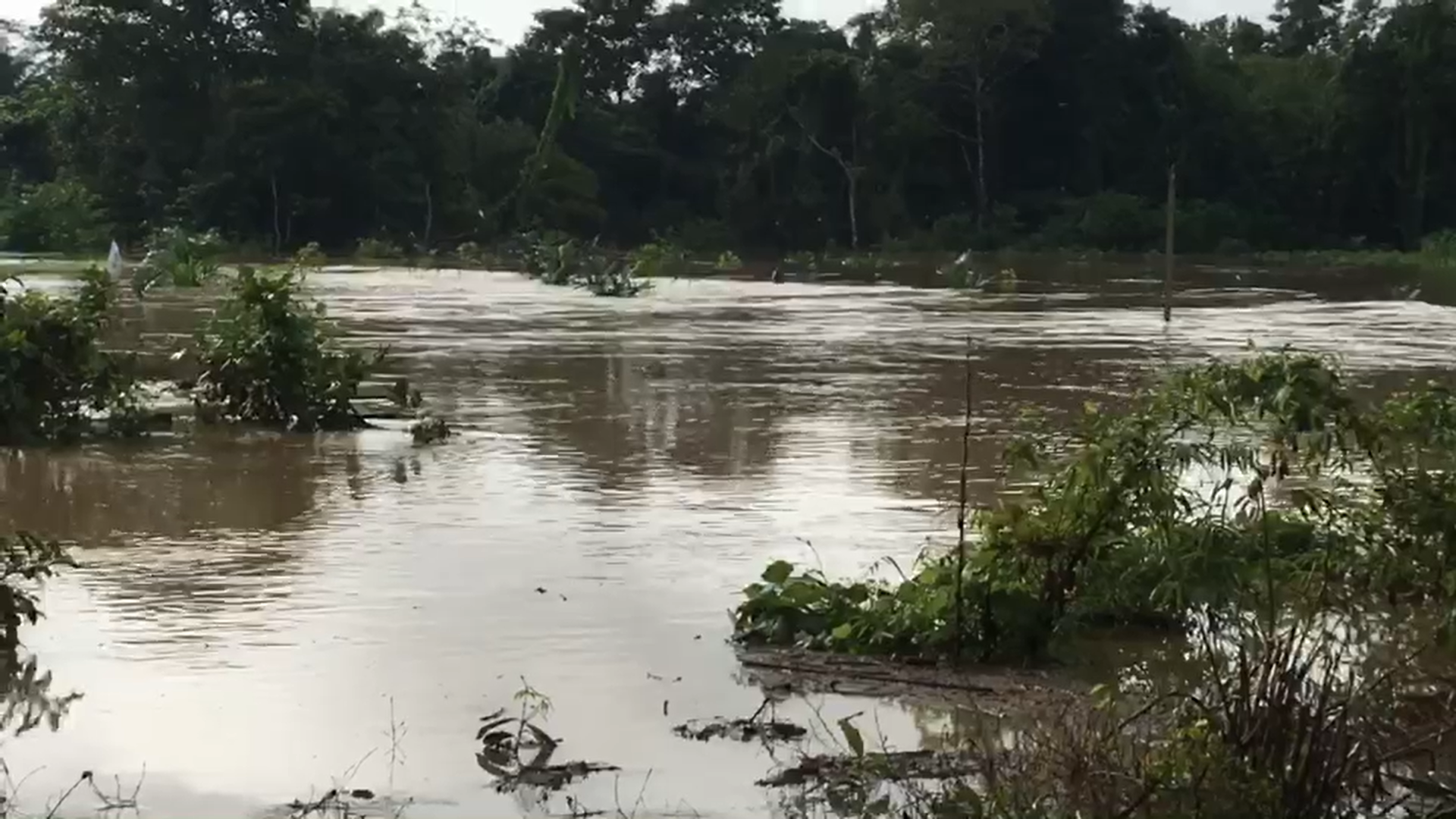 น้ำท่วมกระบี่ เตือนประชาชนขนของขึ้นที่สูง ฝนตกหนัก-น้ำหลาก น้ำท่วมกระบี่ เตือนประชาชนขนของขึ้นที่สูง ฝนตกหนัก-น้ำหลาก