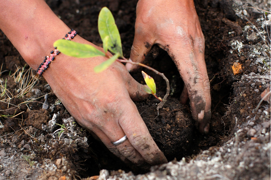 5 ธ.ค. “วันดินโลก” World Soil Day 5 ธ.ค. “วันดินโลก” World Soil Day