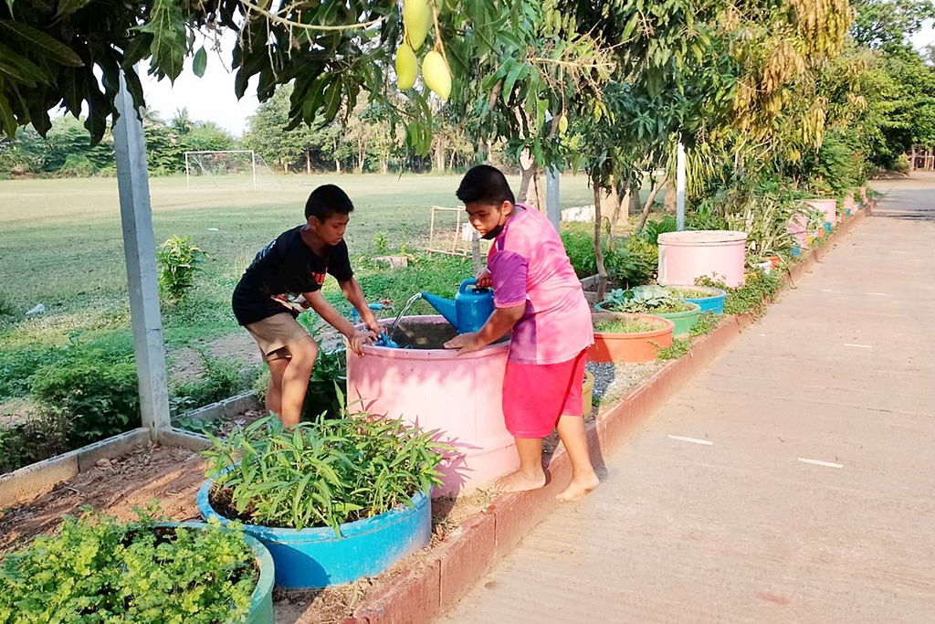 โรงเรียนบ้านแก้วเพชรพลอย จ.สระแก้ว สอนทักษะอาชีพ-สร้างคลังอาหาร “โครงการเลี้ยงไก่ไข่เพื่ออาหารกลางวันนักเรียน”
