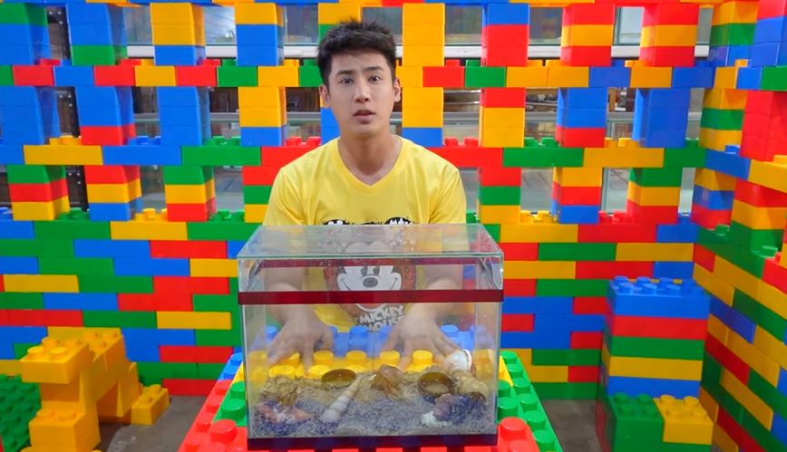 อู๋จุน ยูทูปเบอร์ชื่อดัง ขอโทษดราม่าจับปูเสฉวนมาเลี้ยง ลั่น! ไม่รู้จริงๆ สัญญาจะส่งคืน