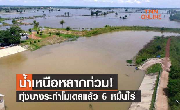 น้ำเหนือหลากเข้าทุ่งบางระกำโมเดลแล้ว 6 หมื่นไร่