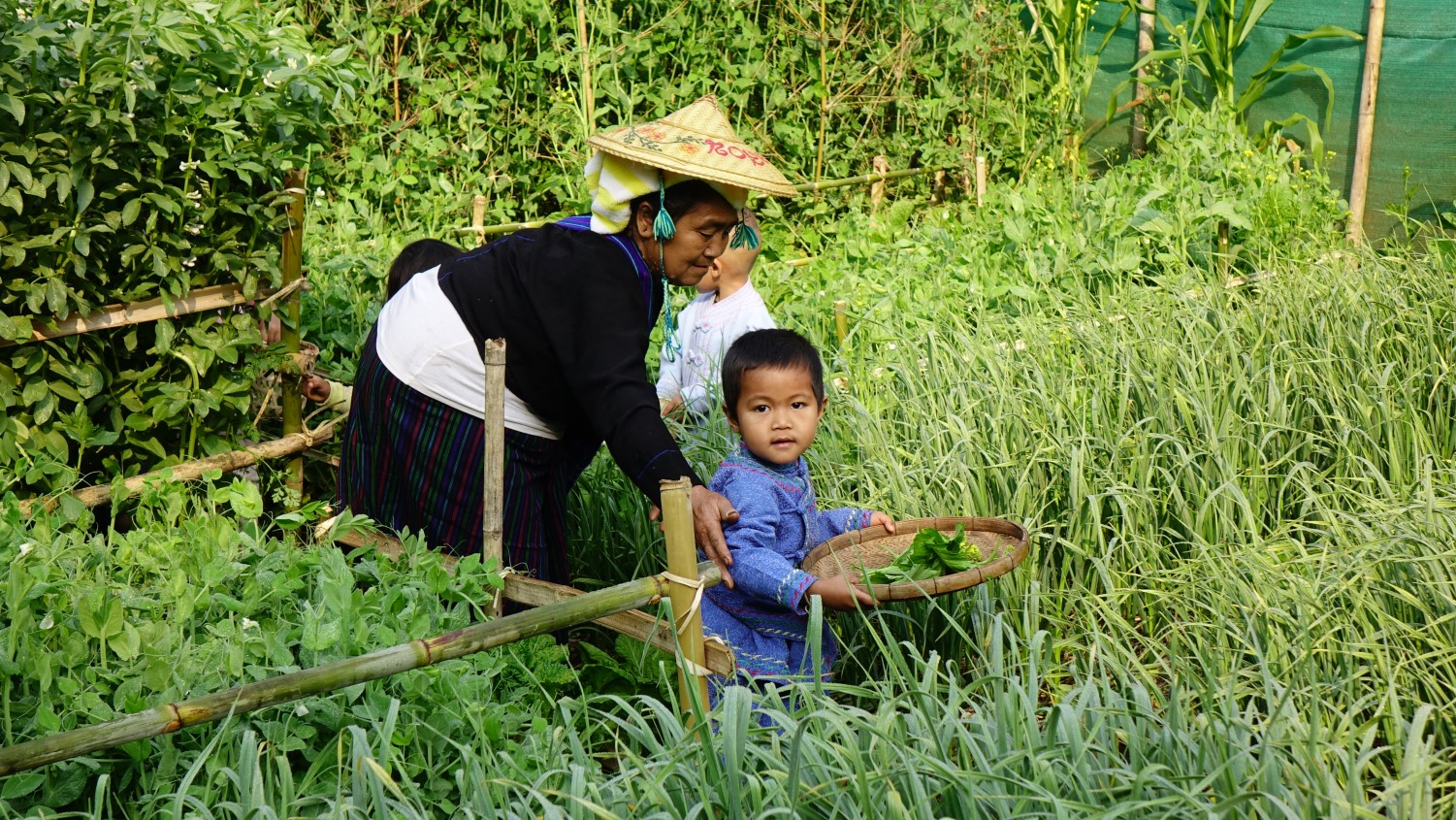 เครือข่าย ครู-ผู้ปกครอง-ชุมชน หนุนหลักสูตรการเล่นที่ ใครๆ ก็ทำได้ 
