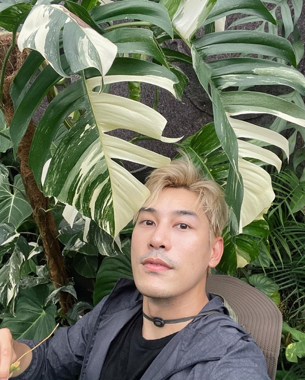 เคน ภูภูมิ ไลฟ์ประมูลต้นไม้ ได้ 8 แสนกว่า สมบททุนให้ครบ 1 ล้าน มอบให้โรงพยาบาล