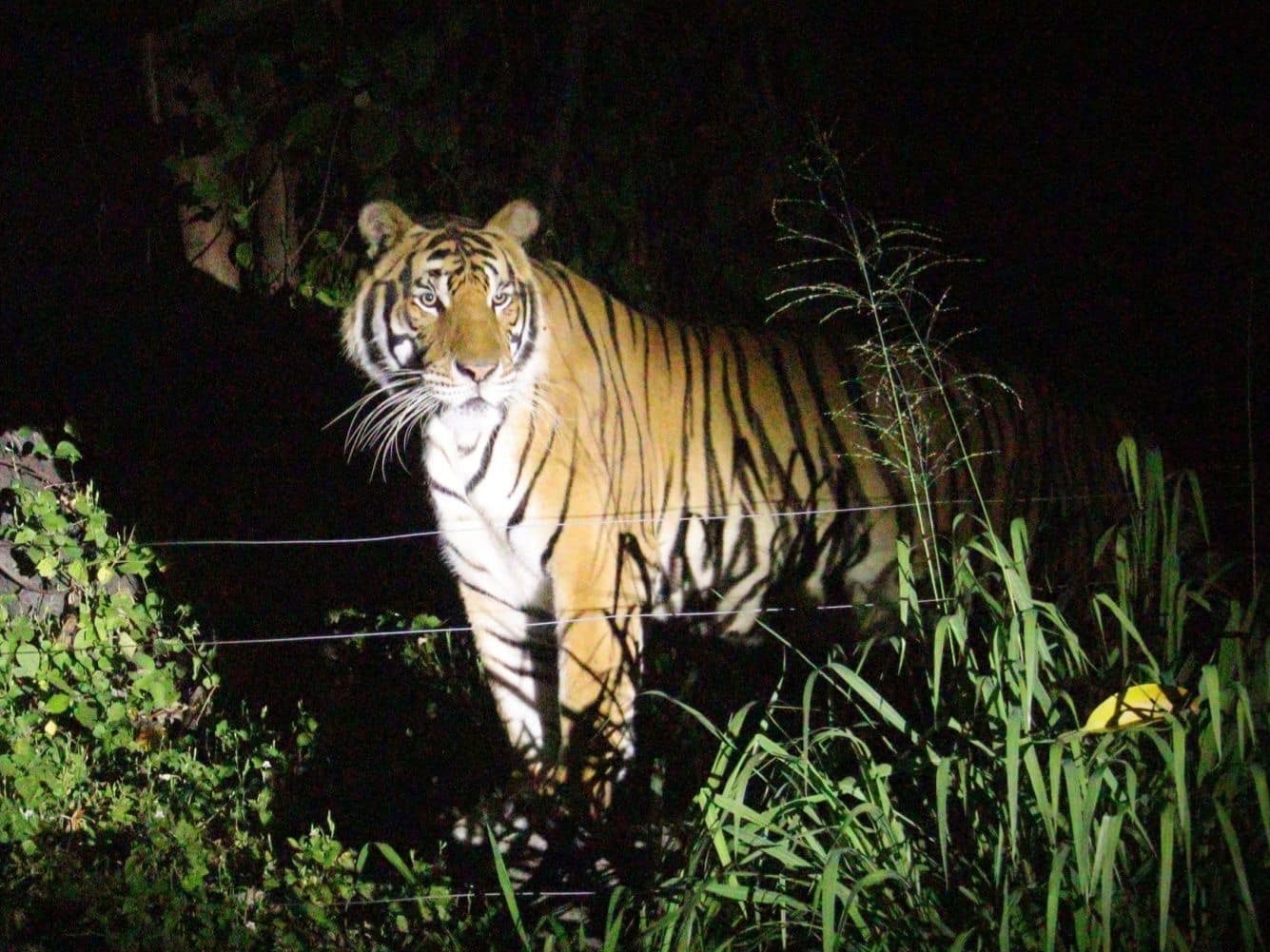 เขาเขียวชวนกางเต็นท์-ส่องสัตว์ ชาวเน็ตแซวไม่ถูกกินแน่นะวิ เขาเขียวชวนกางเต็นท์-ส่องสัตว์ ชาวเน็ตแซวไม่ถูกกินแน่นะวิ