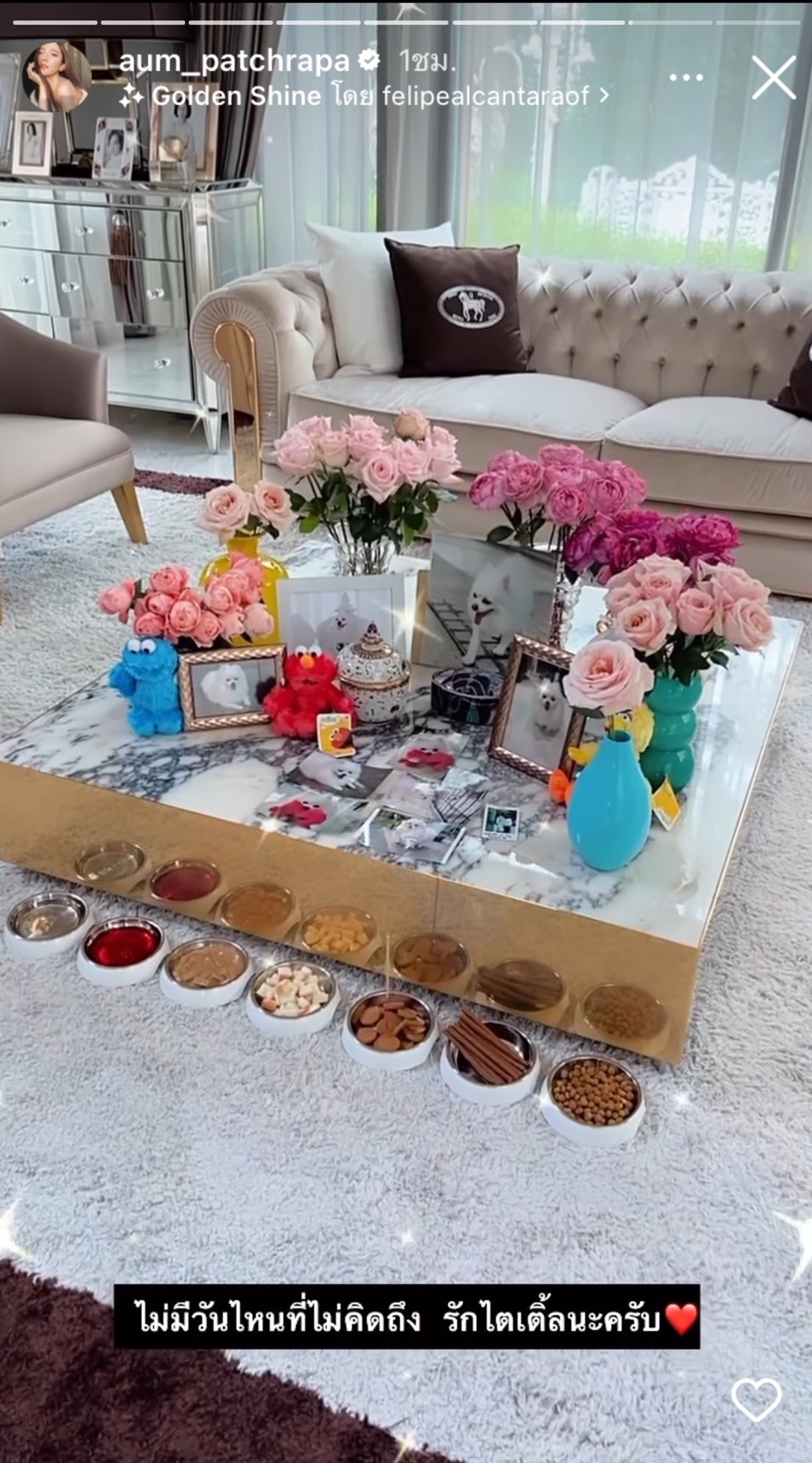 อั้ม พัชราภา ทำบุญให้ผู้เสียชีวิตเหตุกราดยิงที่หนองบัวลำภูและ ไตเติ้ล สุนัขตัวโปรด อั้ม พัชราภา ทำบุญให้ผู้เสียชีวิตเหตุกราดยิงที่หนองบัวลำภูและ ไตเติ้ล สุนัขตัวโปรด