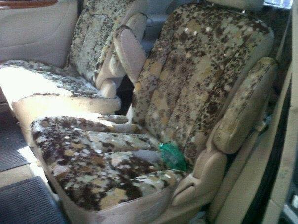 ประสบการณ์ตรงน้ำท่วมปี 54 อย่าห่อรถด้วยพลาสติกแกะออกมาขึ้นราเพียบ! ประสบการณ์ตรงน้ำท่วมปี 54 อย่าห่อรถด้วยพลาสติกแกะออกมาขึ้นราเพียบ!