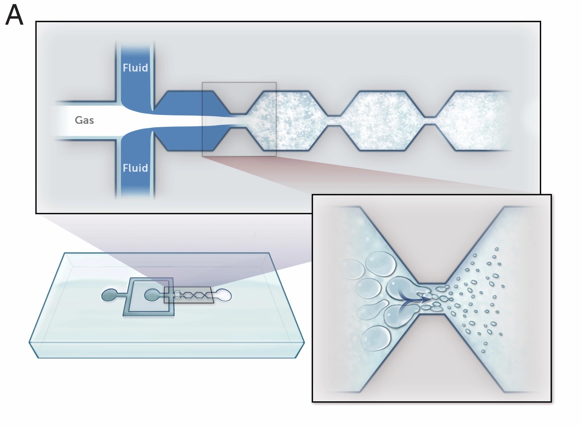 นักวิทยาศาสต์คิดค้น ออกซิเจนแบบฉีดเข้าเลือด ช่วยรักษาภาวะขาดออกซิเจนได้อย่างรวดเร็ว